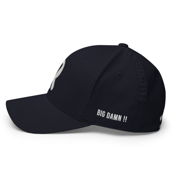 Big Damn!! Champ - Rounders Custom Fitted  - White Stitching - Image 18